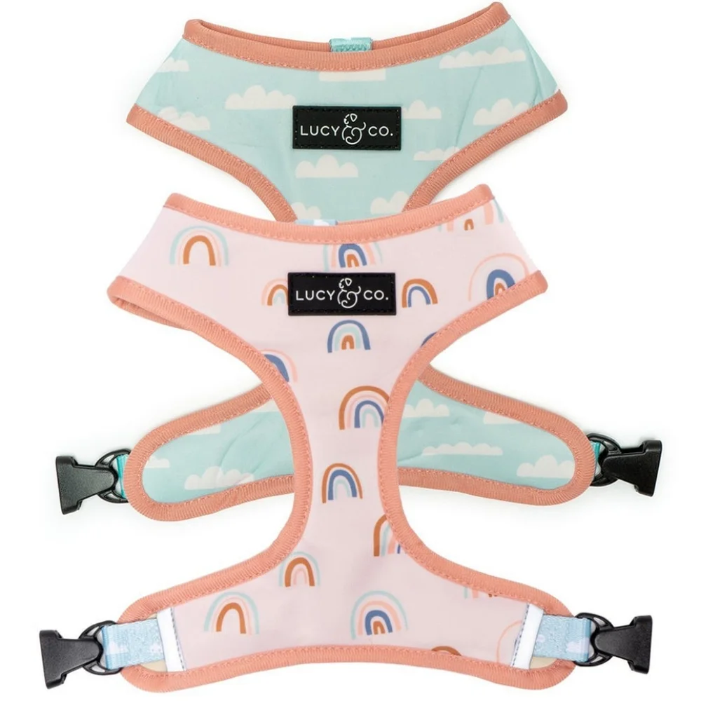 Lucy & Co. Reversible Dog Harness 